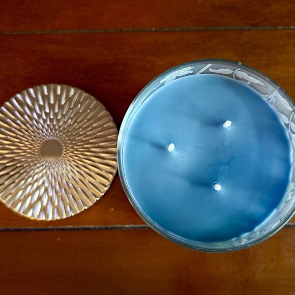 NEW GARDEN WEATHER 3-Wick 14.5 oz Candle Bath & Body Works - Picture 3 of 3